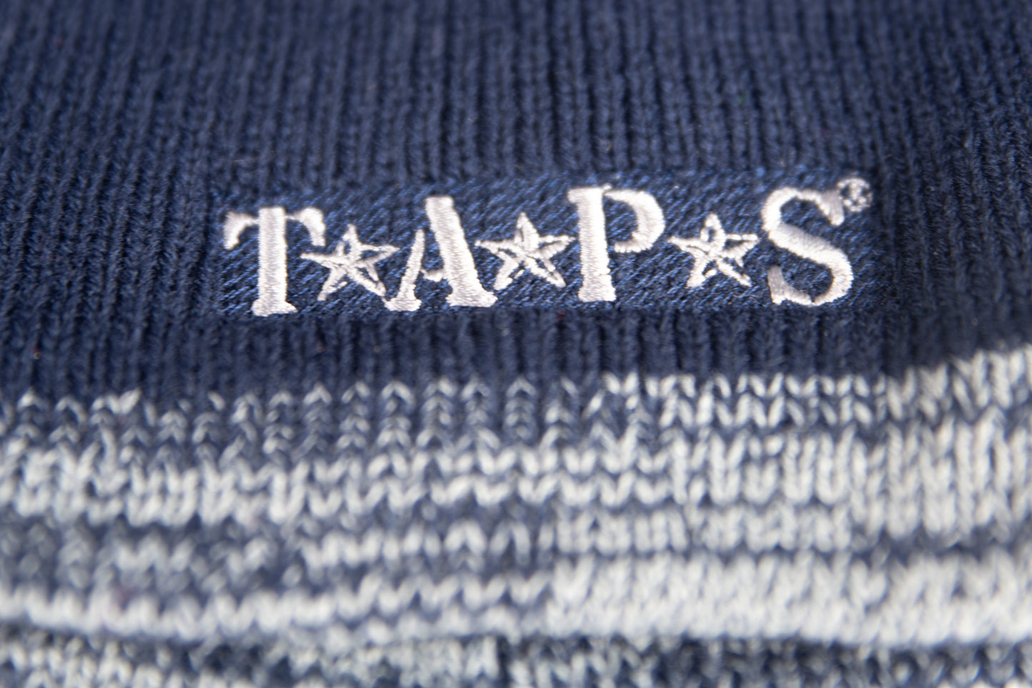 TAPS Beanie