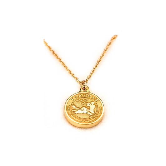 TAPS 20k Gold Plated Necklace and Logo Charm